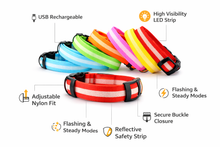 Load image into Gallery viewer, LED Dog Collar USB Rechargeable Nylon Pet Collar for Night Walking Visibility &amp; Safety