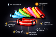 Load image into Gallery viewer, LED Dog Collar USB Rechargeable Nylon Pet Collar for Night Walking Visibility &amp; Safety