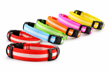 Load image into Gallery viewer, LED Dog Collar USB Rechargeable Nylon Pet Collar for Night Walking Visibility &amp; Safety