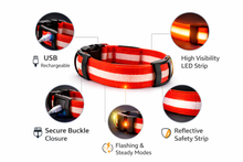Load image into Gallery viewer, LED Dog Collar USB Rechargeable Nylon Pet Collar for Night Walking Visibility &amp; Safety