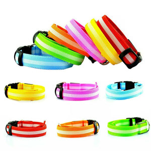 USB Rechargeable LED Dog Collar Nylon Glow Flashing Light Up Safety Pet Collars One Click Shop Australia