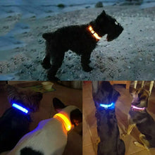 Load image into Gallery viewer, USB Rechargeable LED Dog Collar Nylon Glow Flashing Light Up Safety Pet Collars One Click Shop Australia