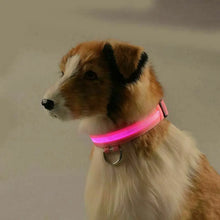 Load image into Gallery viewer, USB Rechargeable LED Dog Collar Nylon Glow Flashing Light Up Safety Pet Collars One Click Shop Australia