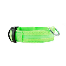 Load image into Gallery viewer, USB Rechargeable LED Dog Collar Nylon Glow Flashing Light Up Safety Pet Collars One Click Shop Australia