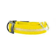 Load image into Gallery viewer, USB Rechargeable LED Dog Collar Nylon Glow Flashing Light Up Safety Pet Collars One Click Shop Australia