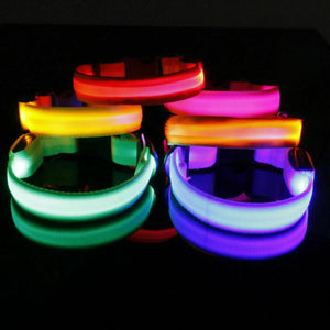 USB Rechargeable LED Dog Collar Nylon Glow Flashing Light Up Safety Pet Collars One Click Shop Australia