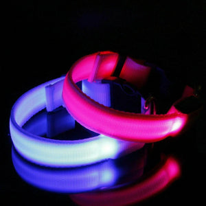 USB Rechargeable LED Dog Collar Nylon Glow Flashing Light Up Safety Pet Collars One Click Shop Australia